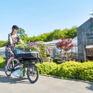 HASE_BIKES_PINO_Steps_2021-03.jpg