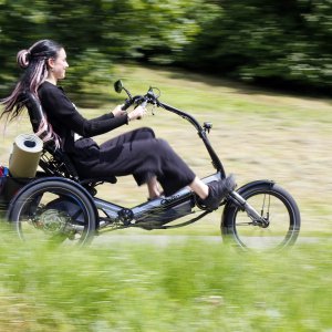 HP Velotechnik Delta tx Wiesen.jpg