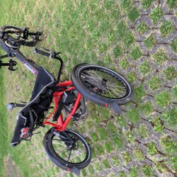 IMG_1539.jpeg