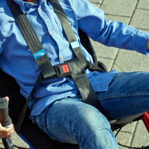 Gekko fxs - Sicherheitsgurte.jpg