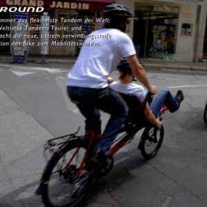 haspin2.jpg