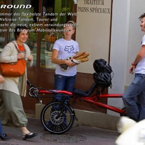 haspin3.jpg