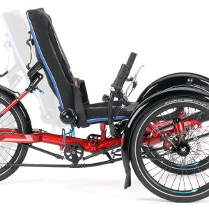 Gekko fxs mitwachsend.jpg