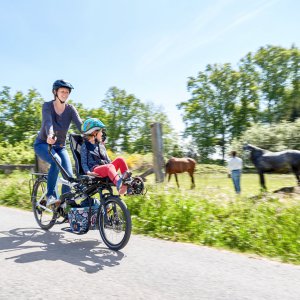 HASE_BIKES_PINO_Steps_2021-05.jpg