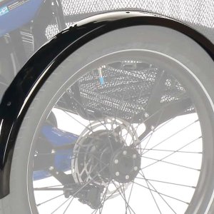 HP Velotechnik Delta tx Special Edition Schutzbleche.jpg